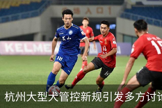 杭州大型犬管控新规引发多方讨论与争议