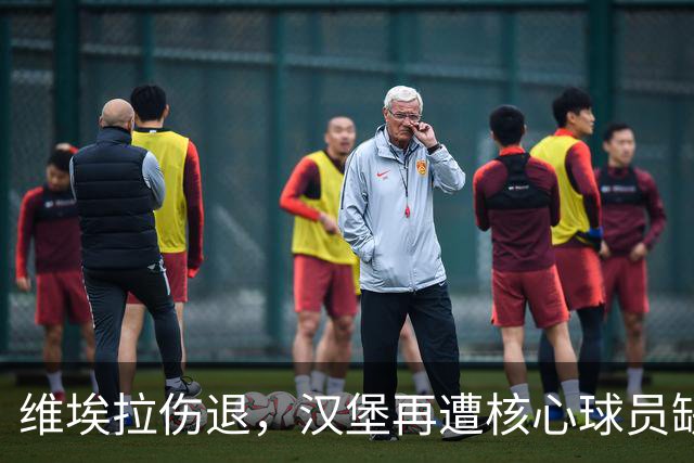 维埃拉伤退，汉堡再遭核心球员缺席危机